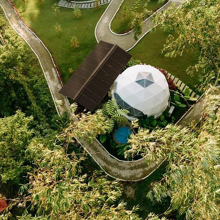150 Peakway Mountain Resort ダラギュテ エクステリア 写真