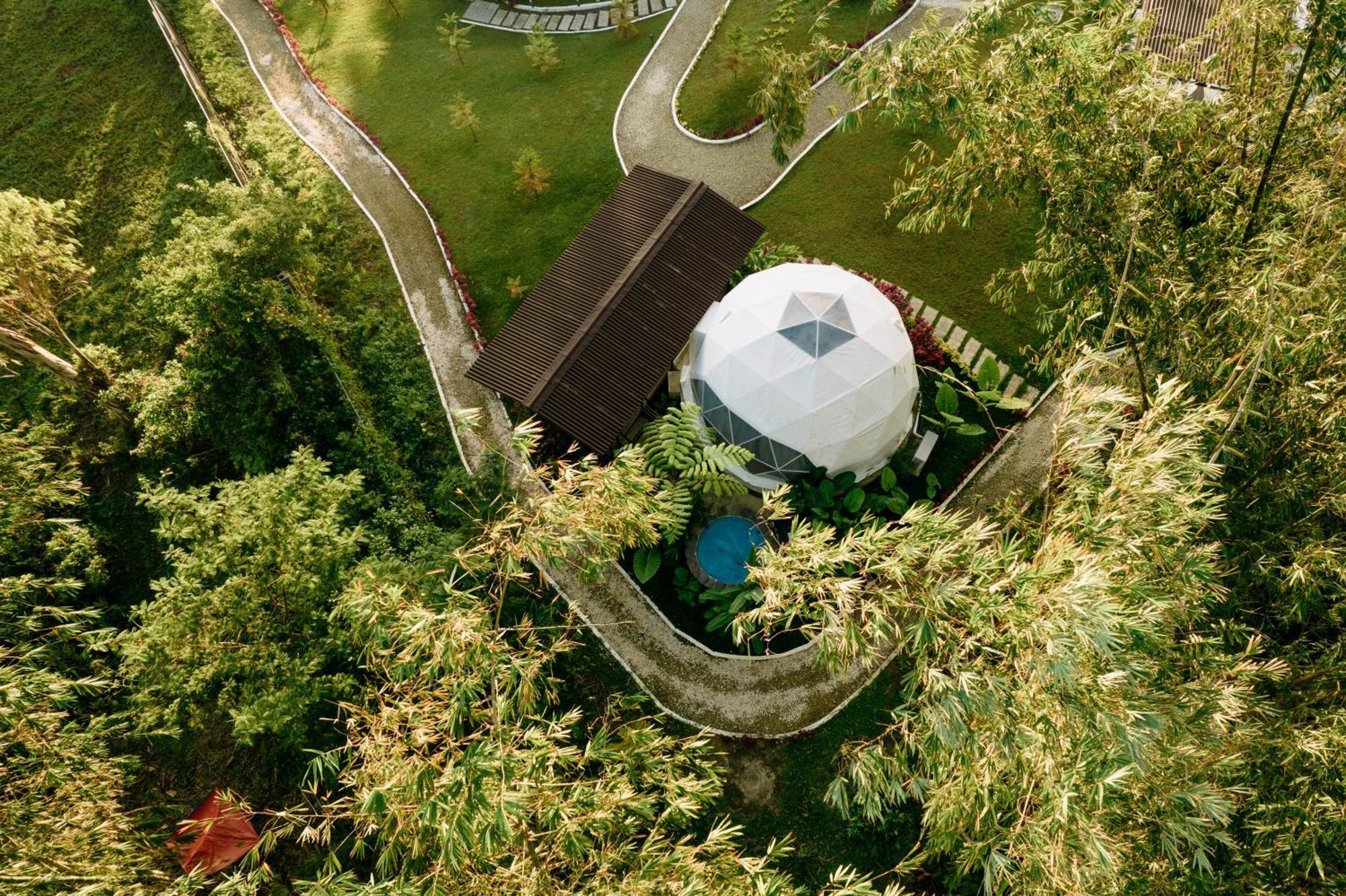 150 Peakway Mountain Resort ダラギュテ エクステリア 写真