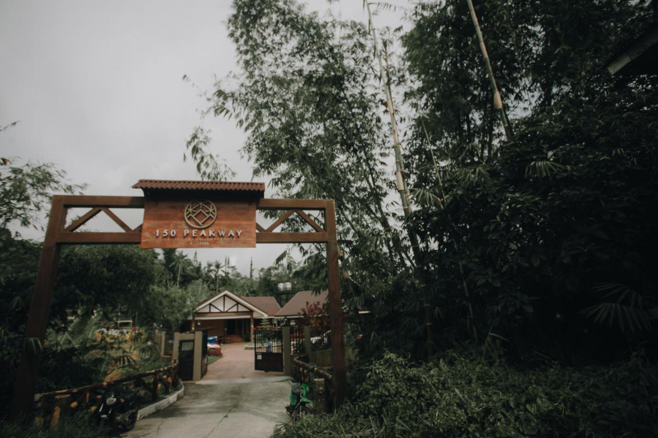 150 Peakway Mountain Resort ダラギュテ エクステリア 写真